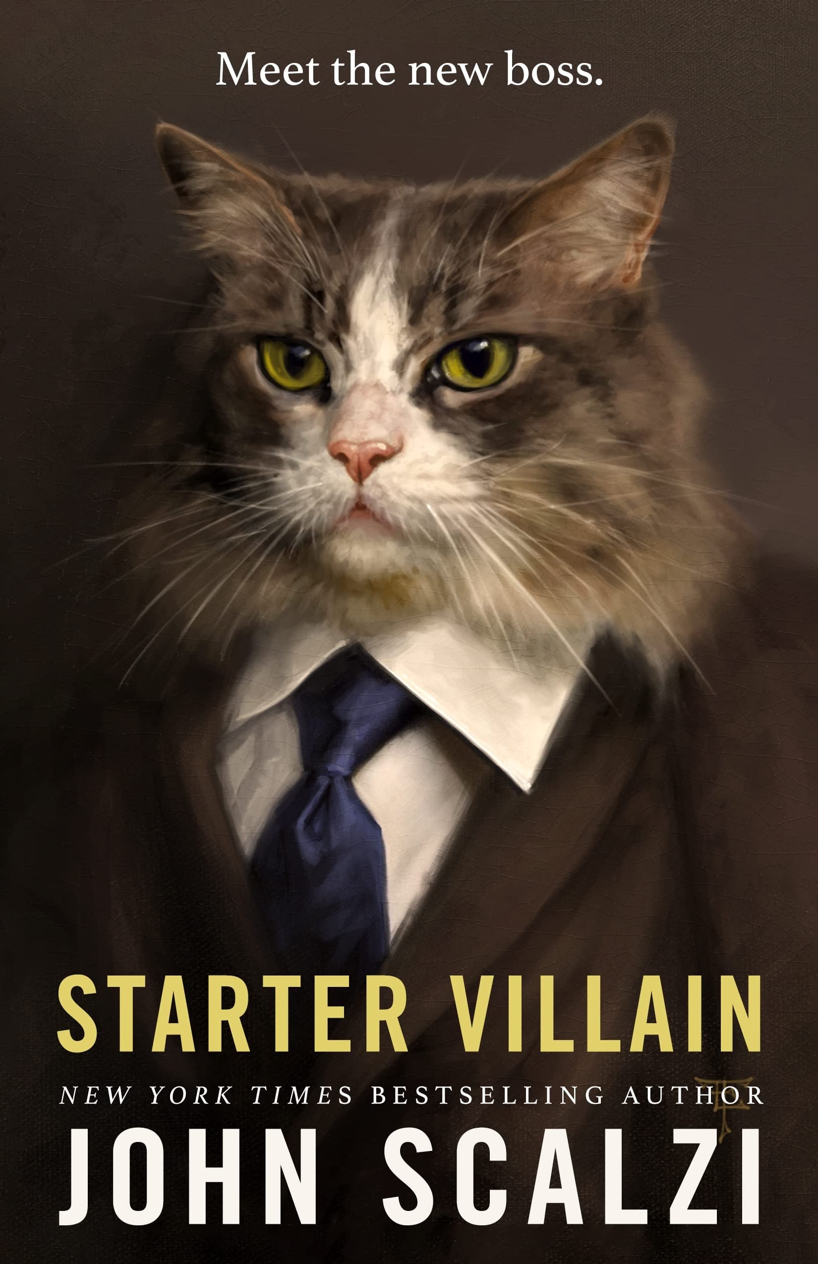 Starter Villain - Cover