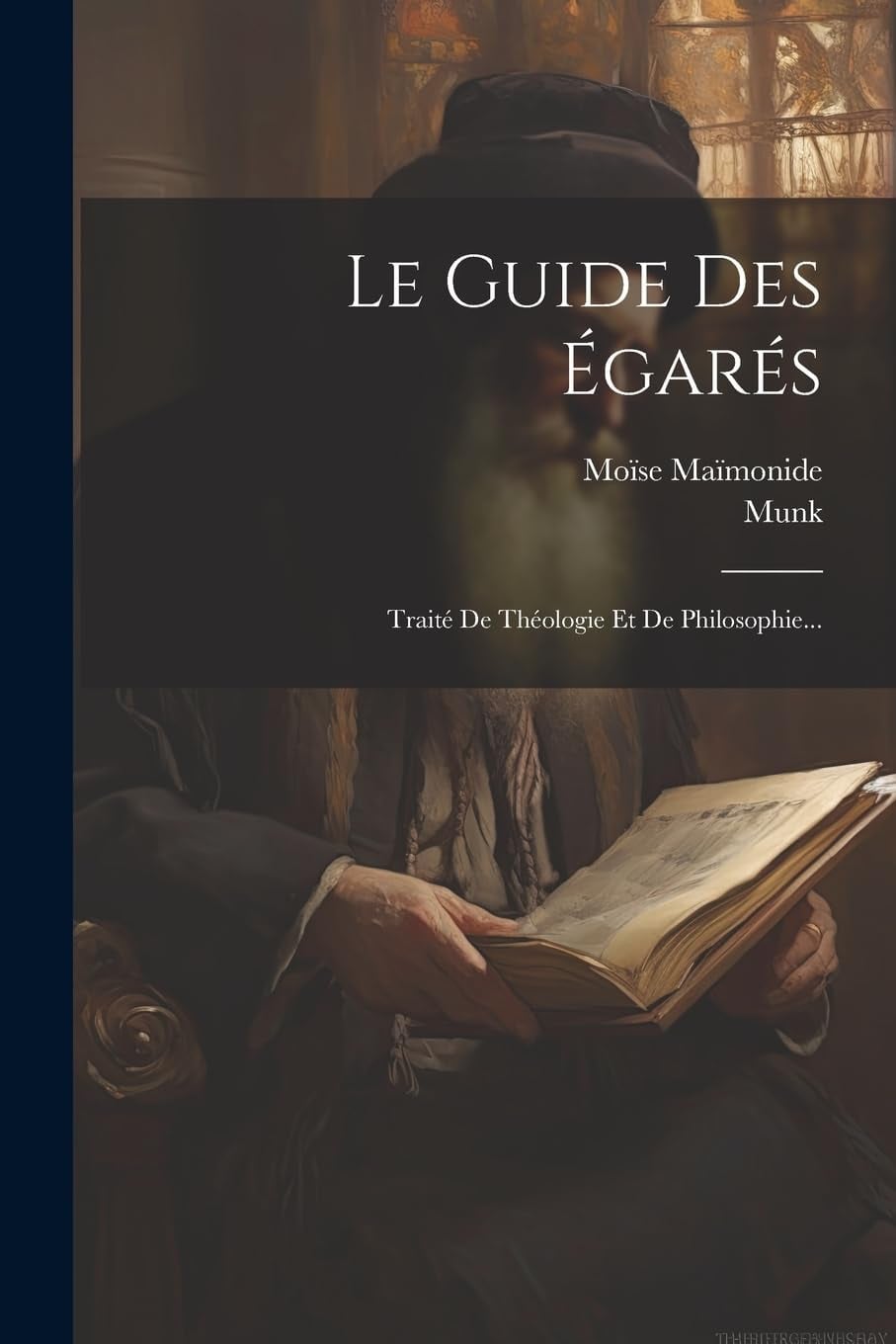 Le Guide Des Égarés - Cover