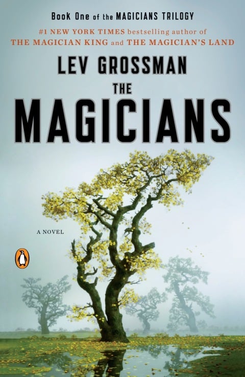 The Magicians - Cover