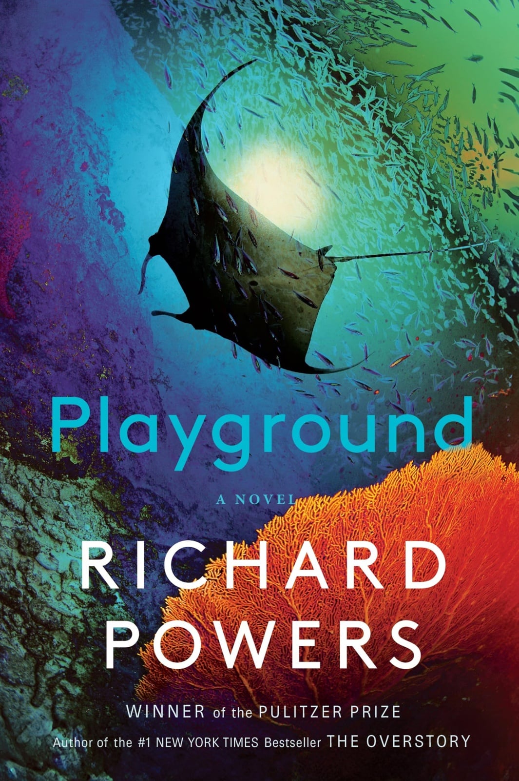 Playground: A Novel - Cover