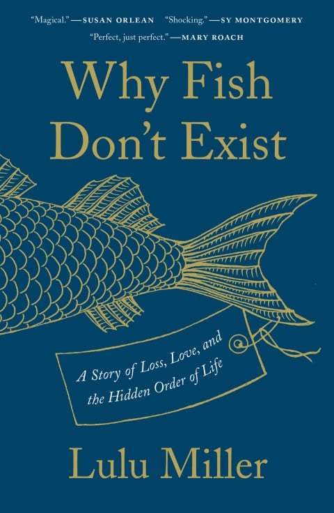 Why Fish Don't Exist - Cover