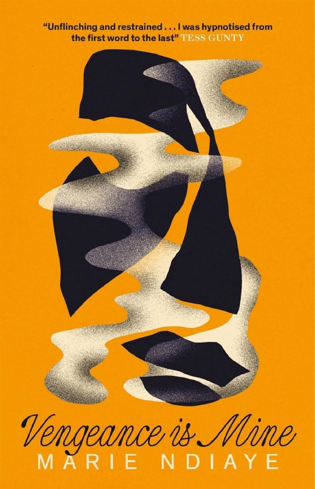 Vengeance is Mine - Cover