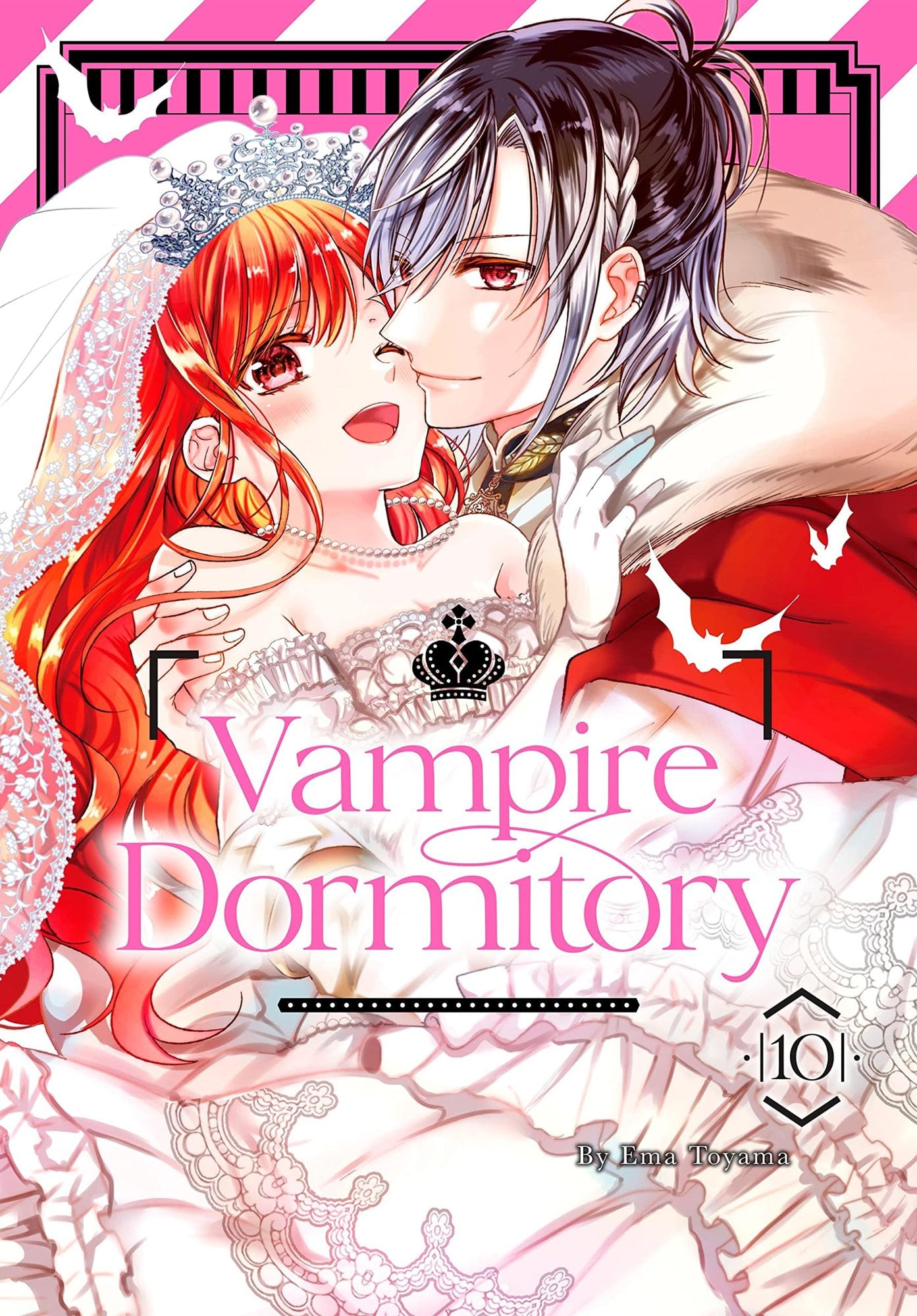 Vampire Dormitory 10 - Cover