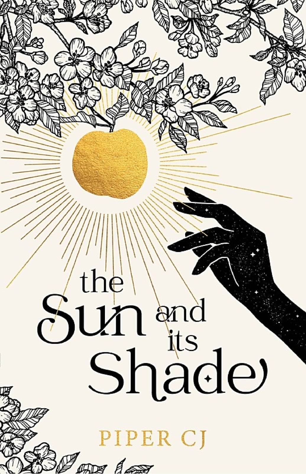 The Sun and Its Shade - Cover