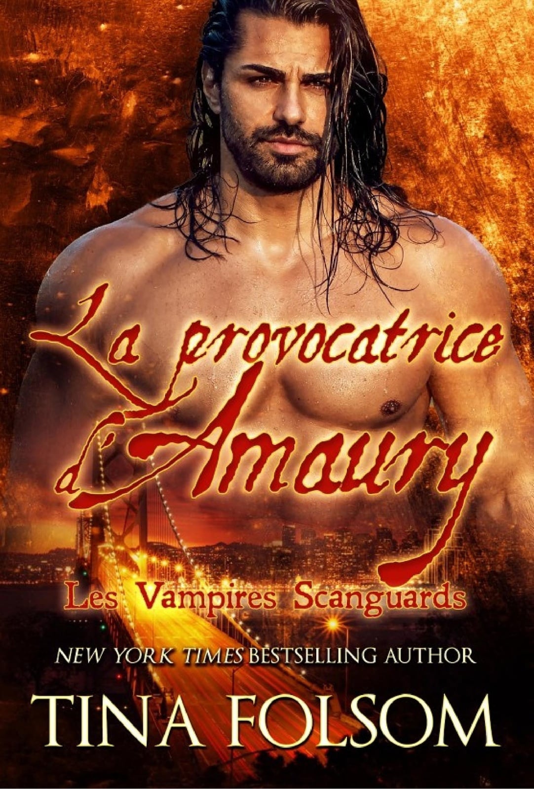 La provocatrice d'Amaury - Cover