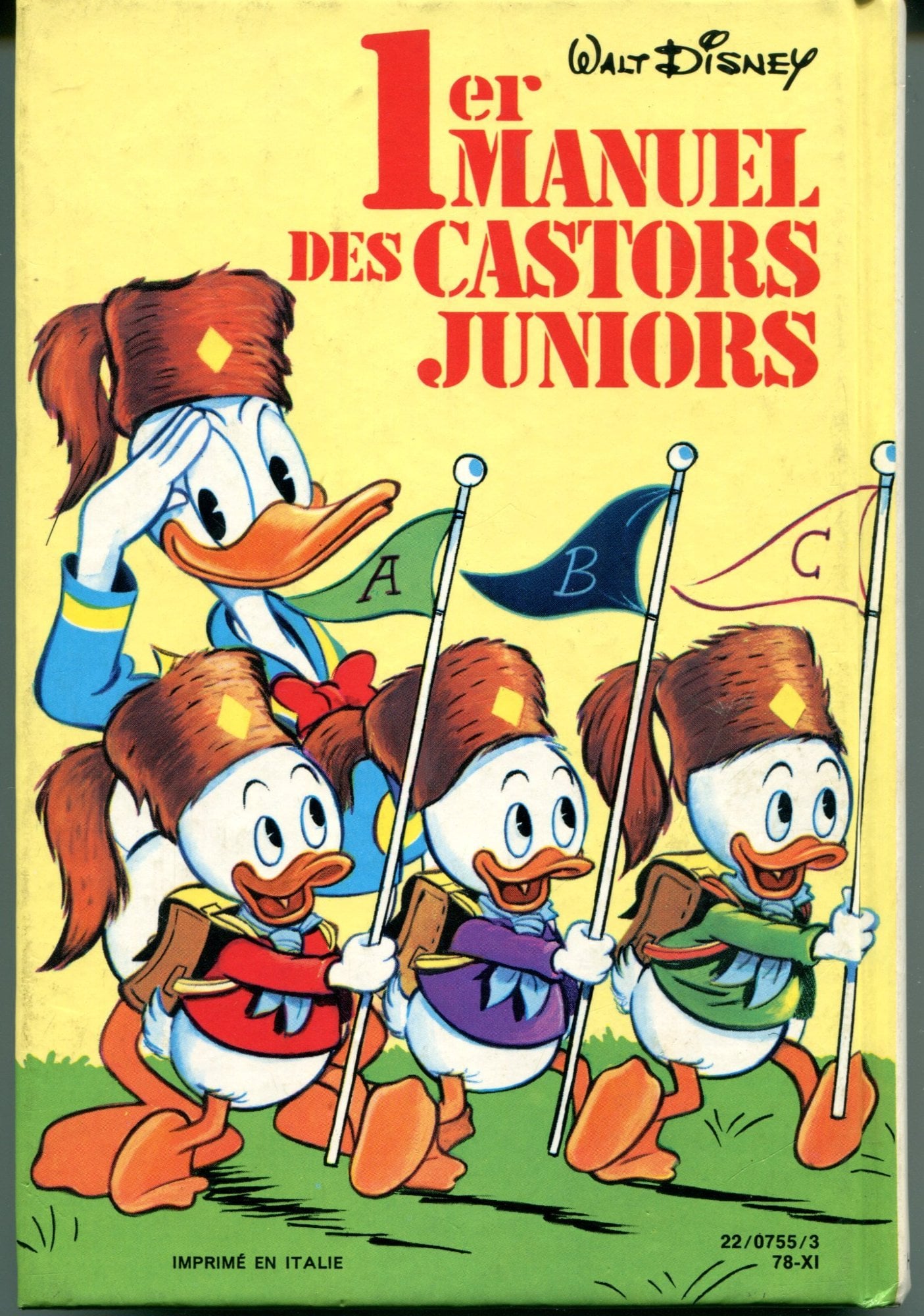 Manuel des castors juniors - Cover