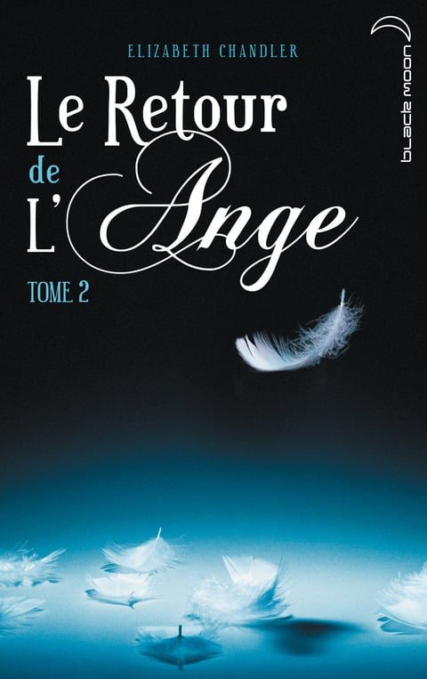 Le Retour de l'ange 2 - Cover