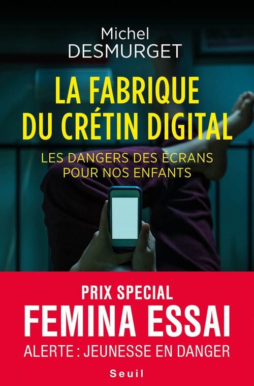 La fabrique du crétin digital - Les dangers des écrans pour nos enfants - Cover