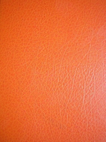 Le jardin des Finzi-Contini - Cover