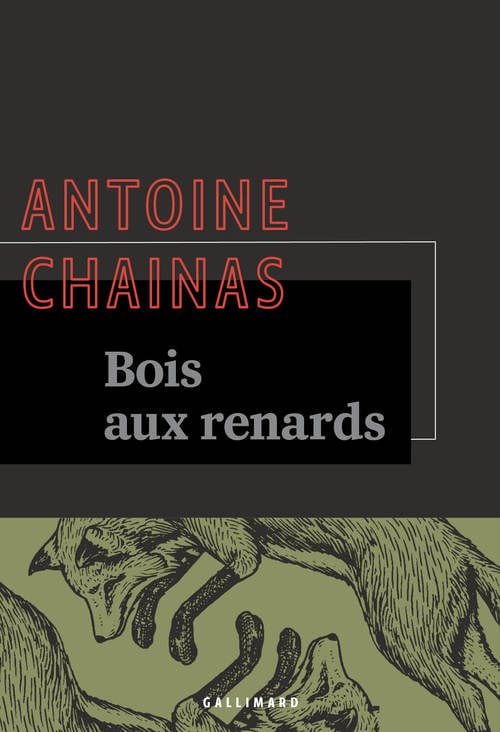 Bois-aux-Renards - Cover