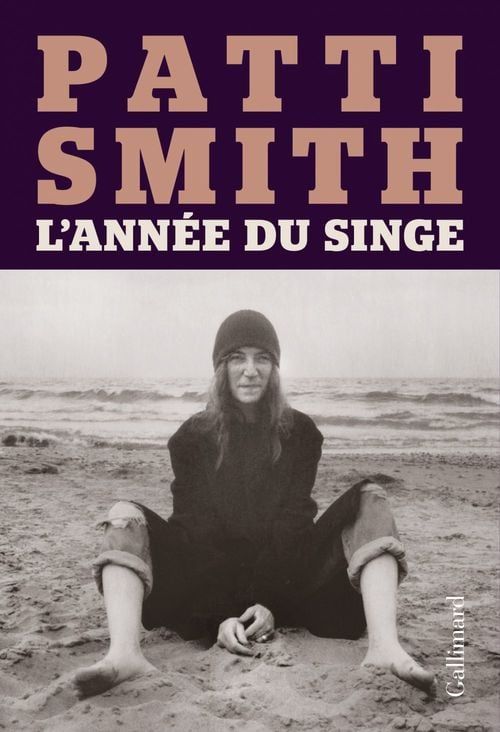 L'année du singe - Cover