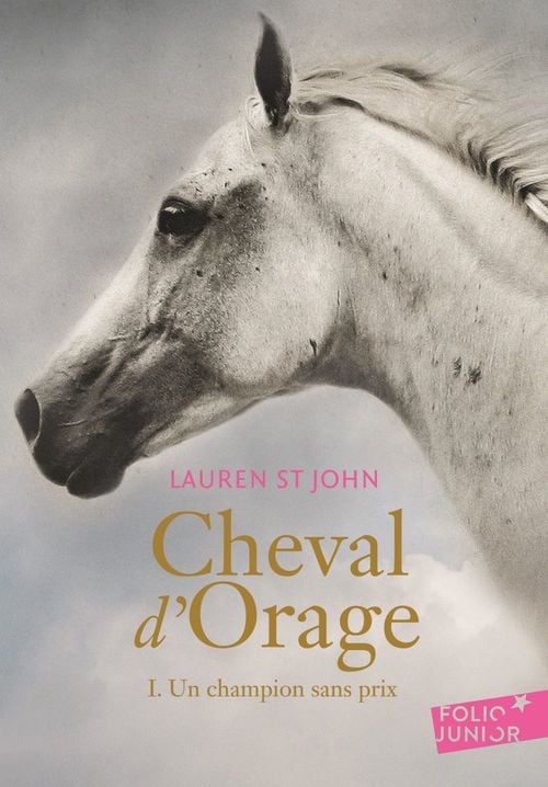 Cheval d'Orage (Tome 1) - Un champion sans prix - Cover