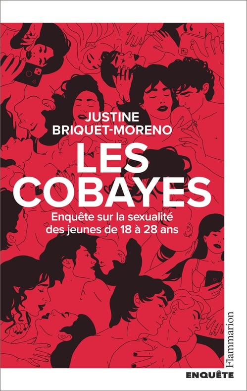 Les cobayes. Enquête sur la sexualité des jeunes de 18 à 28 ans: Enquête sur la sexualité des jeunes de 18 à 28 ans - Cover