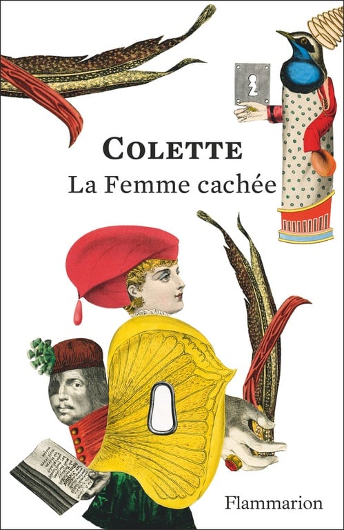 La femme cachée - Cover