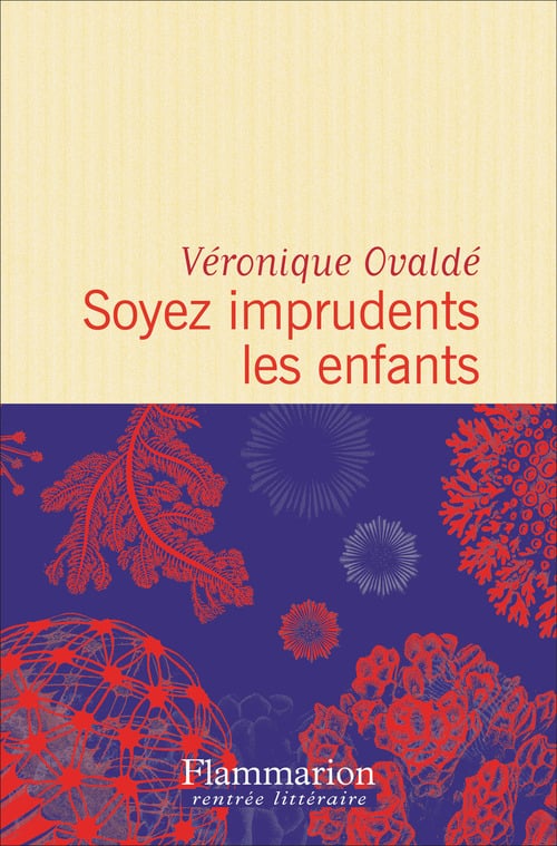 Soyez imprudents les enfants - Cover