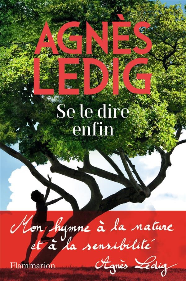 Se le dire enfin - Cover