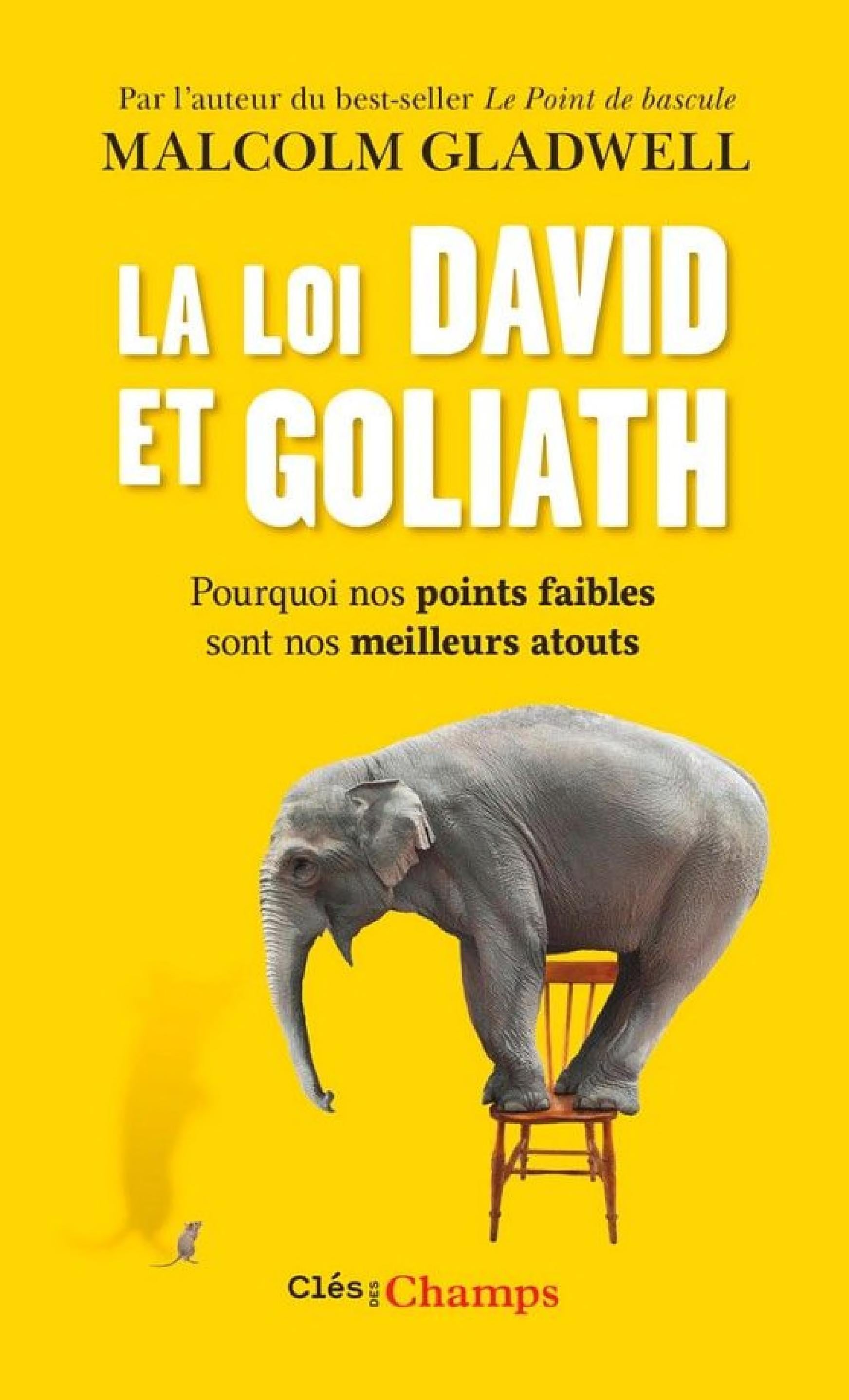 La loi David et Goliath. Pourquoi nos points faibles sont nos meilleurs atouts - Cover