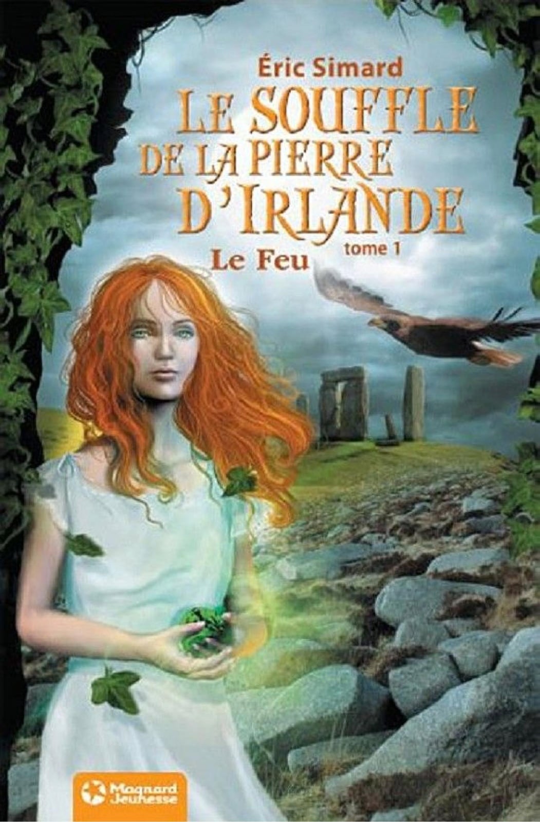 Le Souffle de la pierre d'Irlande 1 - Le Feu - Cover