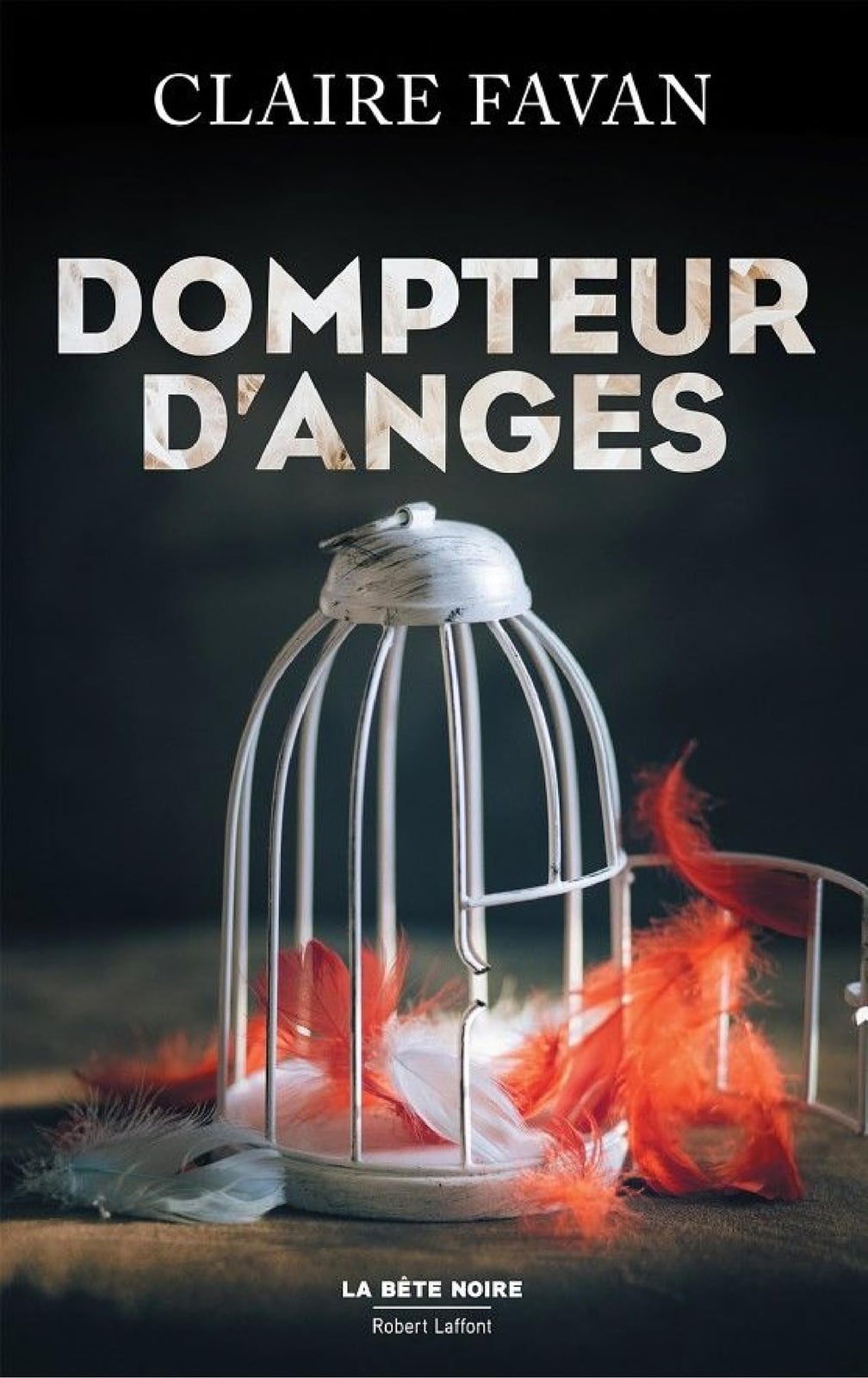 Dompteur d'anges - Cover