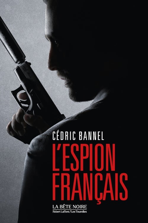 L'Espion français - Cover