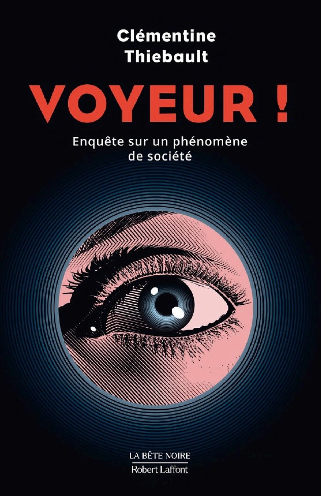 Voyeur ! Enquête sur un phénomène de société - Cover