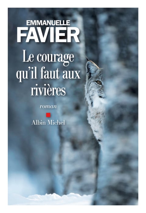 Le Courage qu'il faut aux rivières - Cover