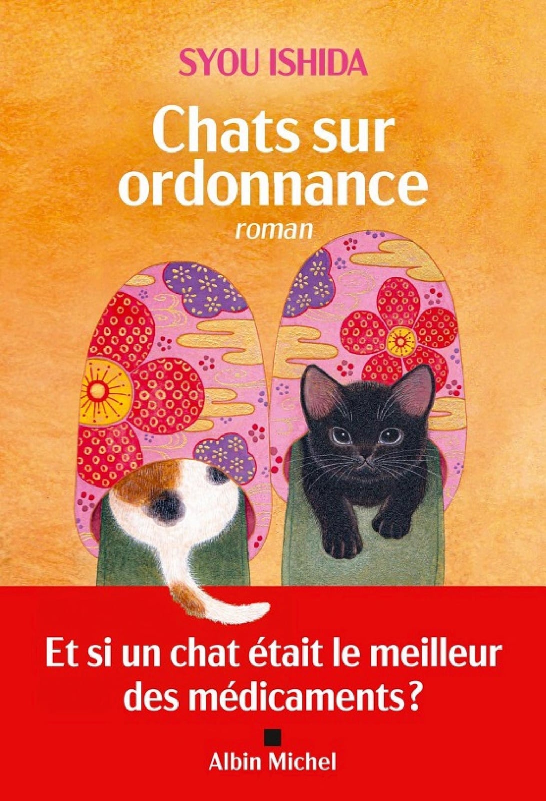 Chats sur ordonnance - Cover