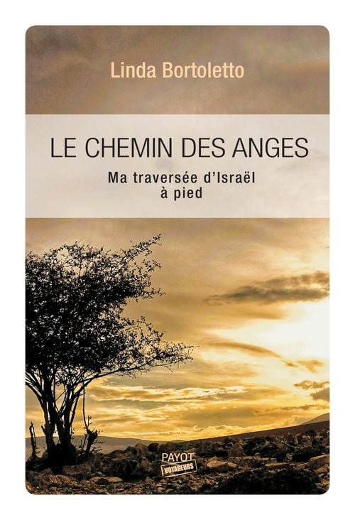 Le Chemin des anges - Cover