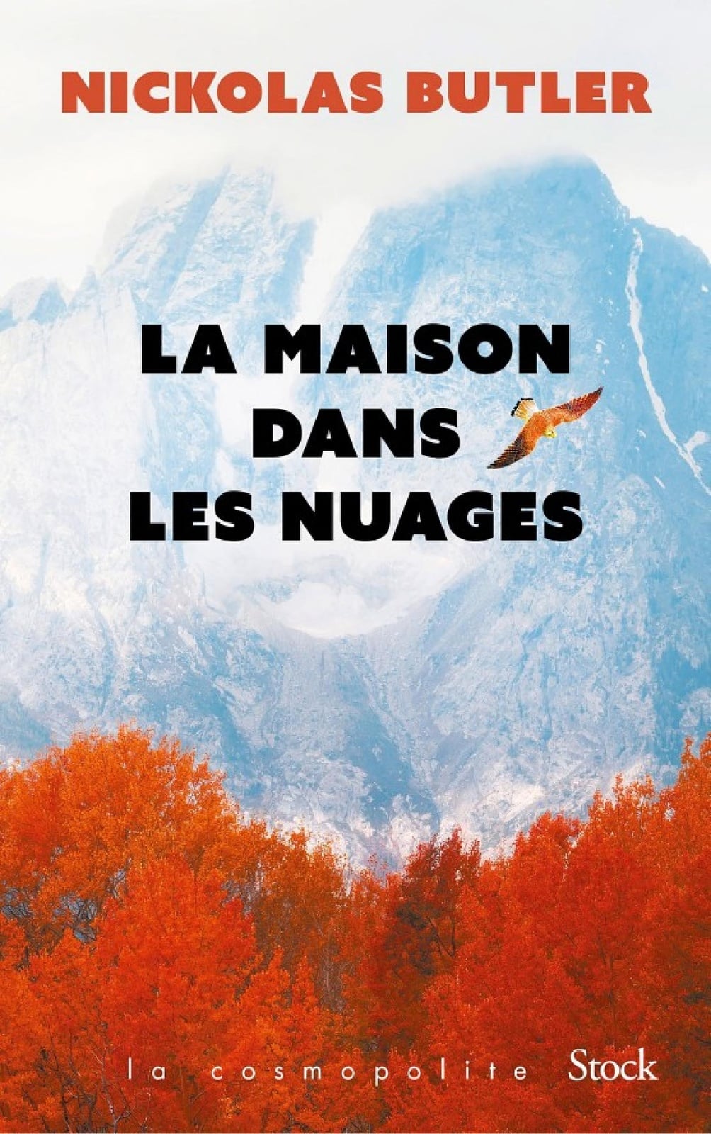 La Maison dans les nuages - Cover
