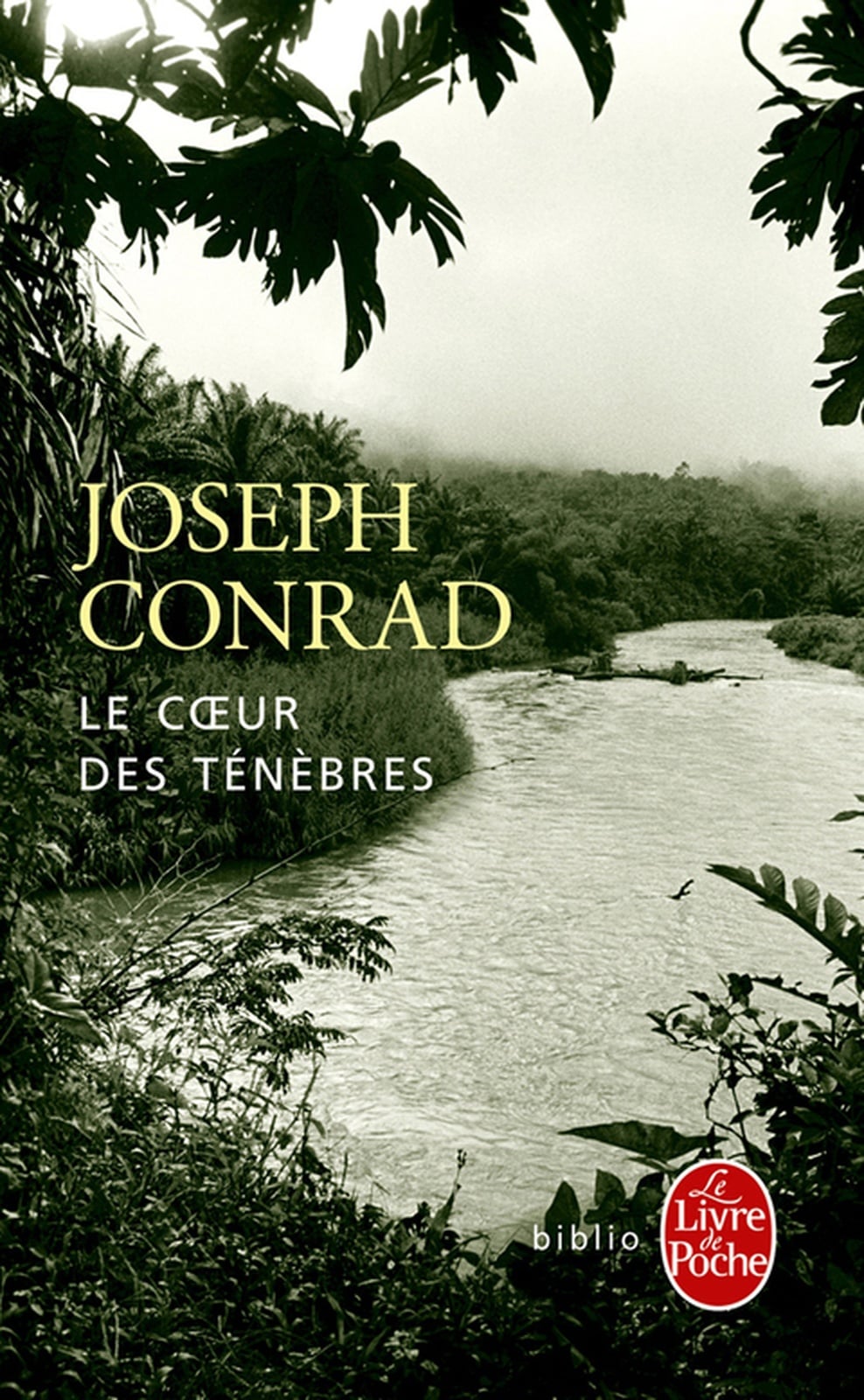 Le coeur des ténèbres - Cover