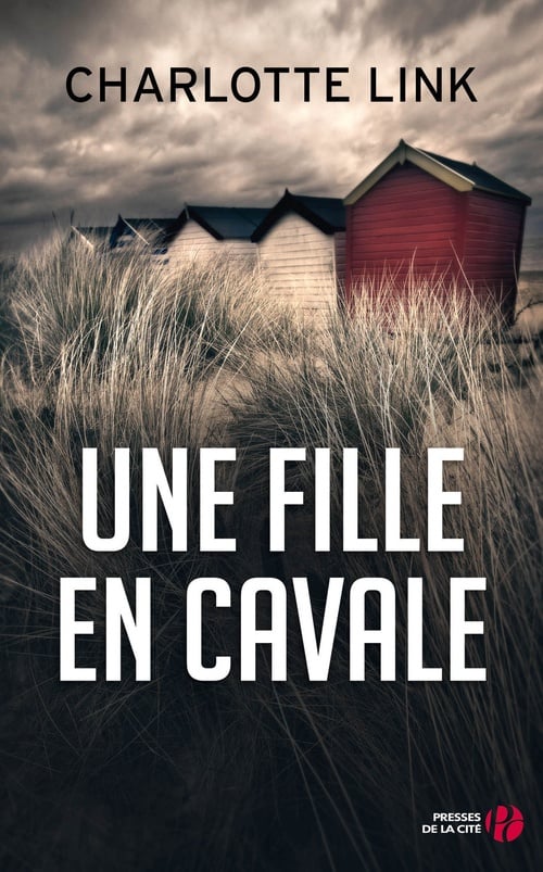 Une fille en cavale - Cover