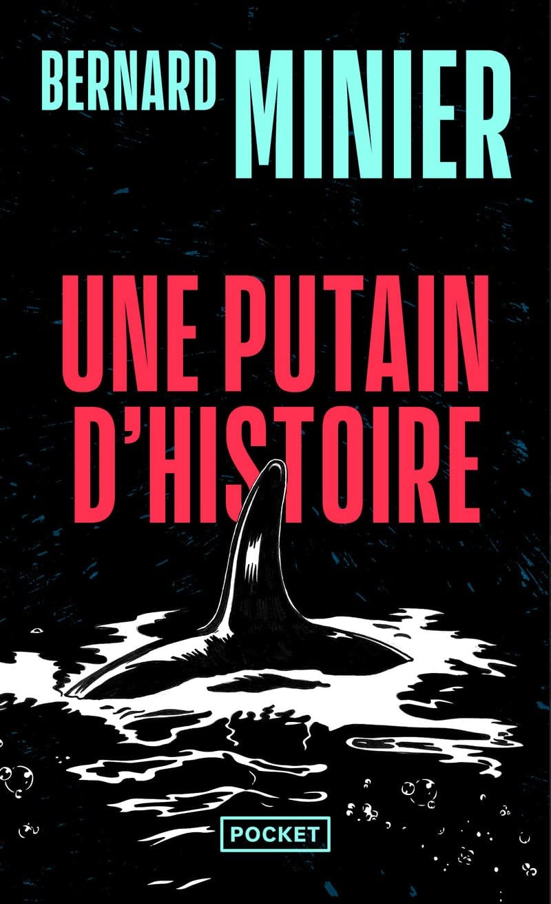 Une putain d'histoire - Cover