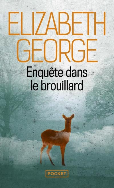 Enquête dans le brouillard - Cover