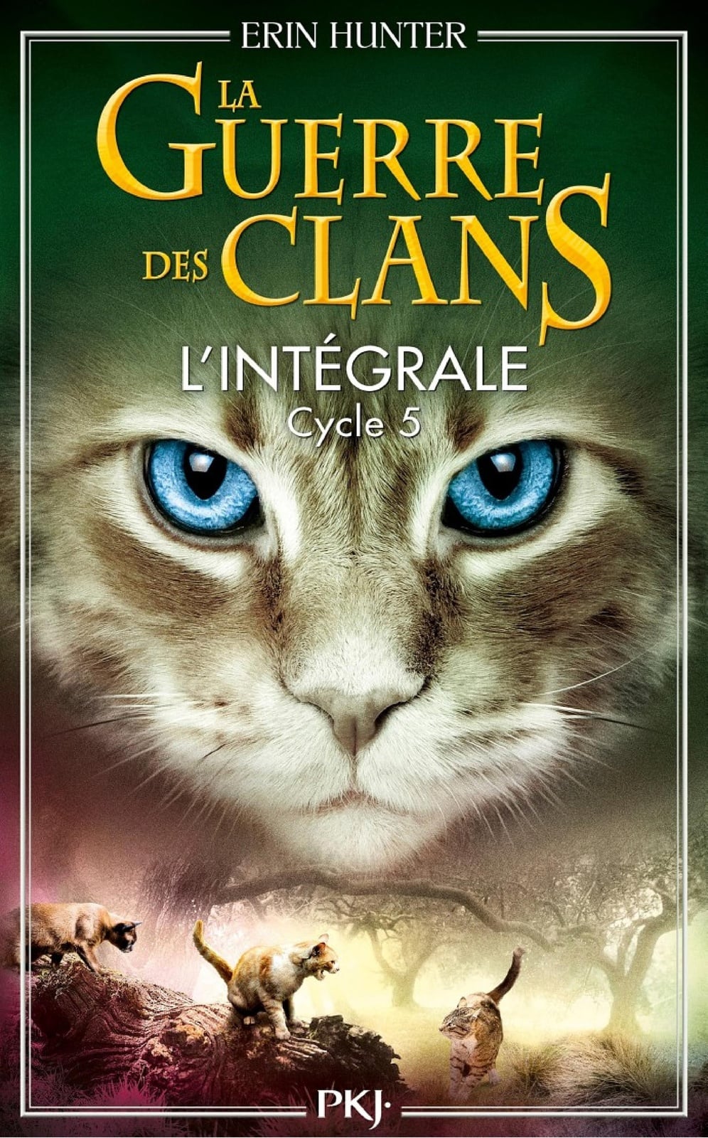 La Guerre des Clans - cycle 5 intégrale - Cover