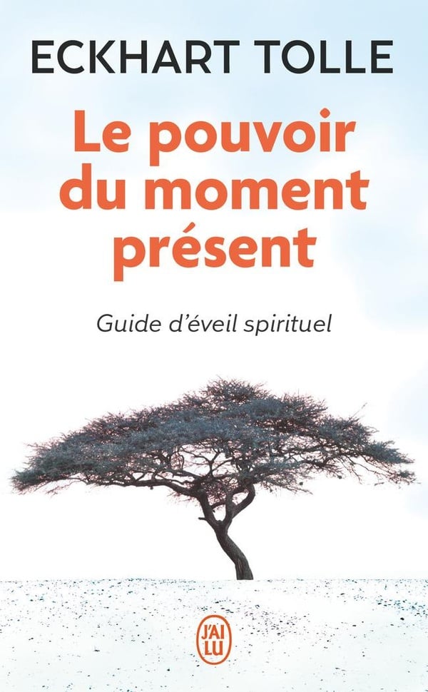 Le pouvoir du moment présent - Cover