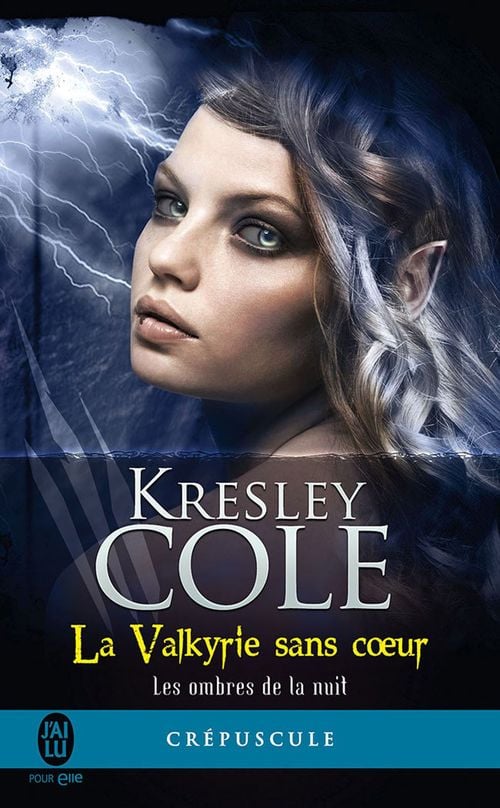 Les ombres de la nuit (Tome 2) - La Valkyrie sans cœur - Cover