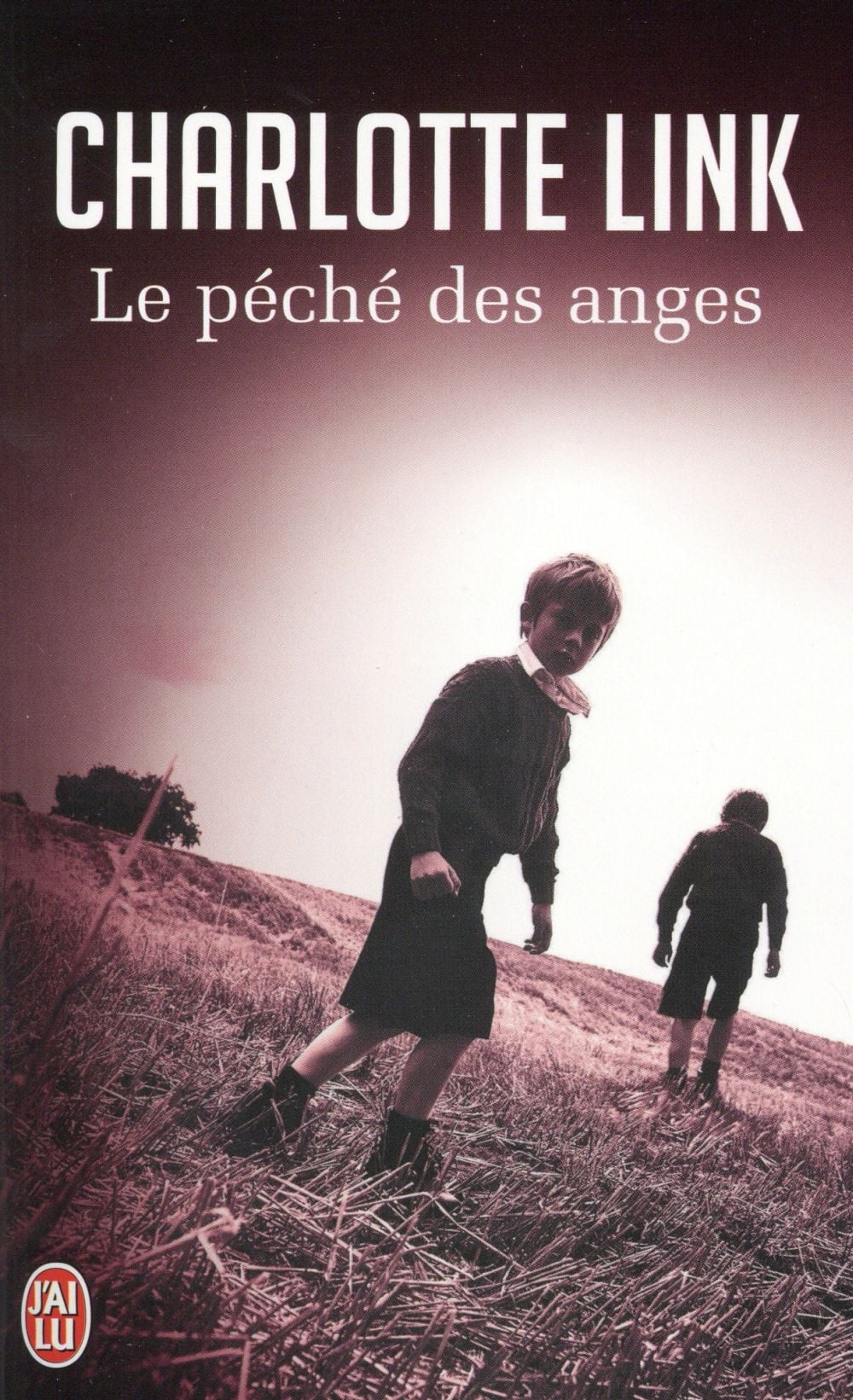 Le péché des anges - Cover