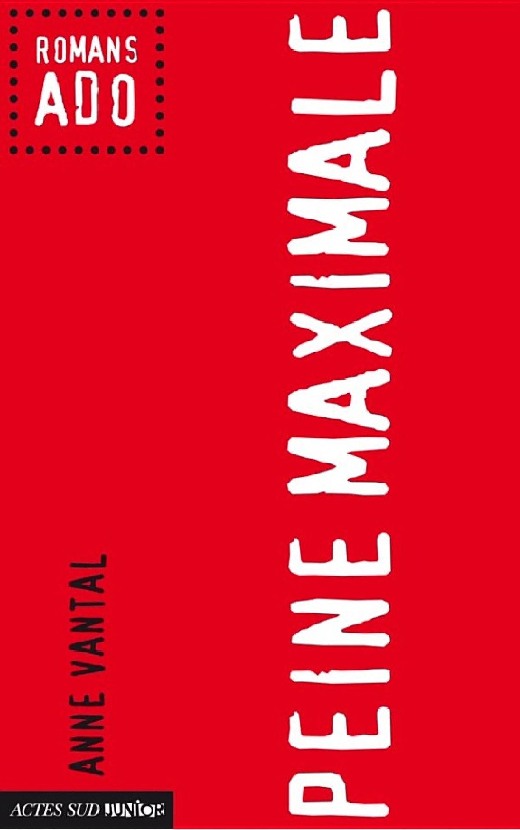 Peine maximale - Cover