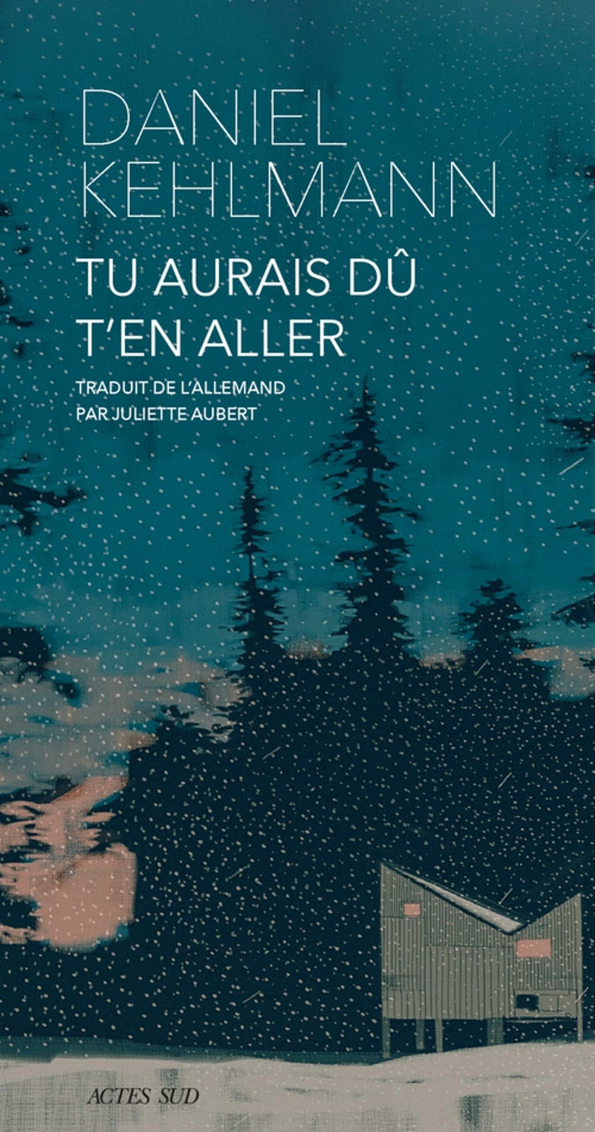 Tu aurais dû t'en aller - Cover