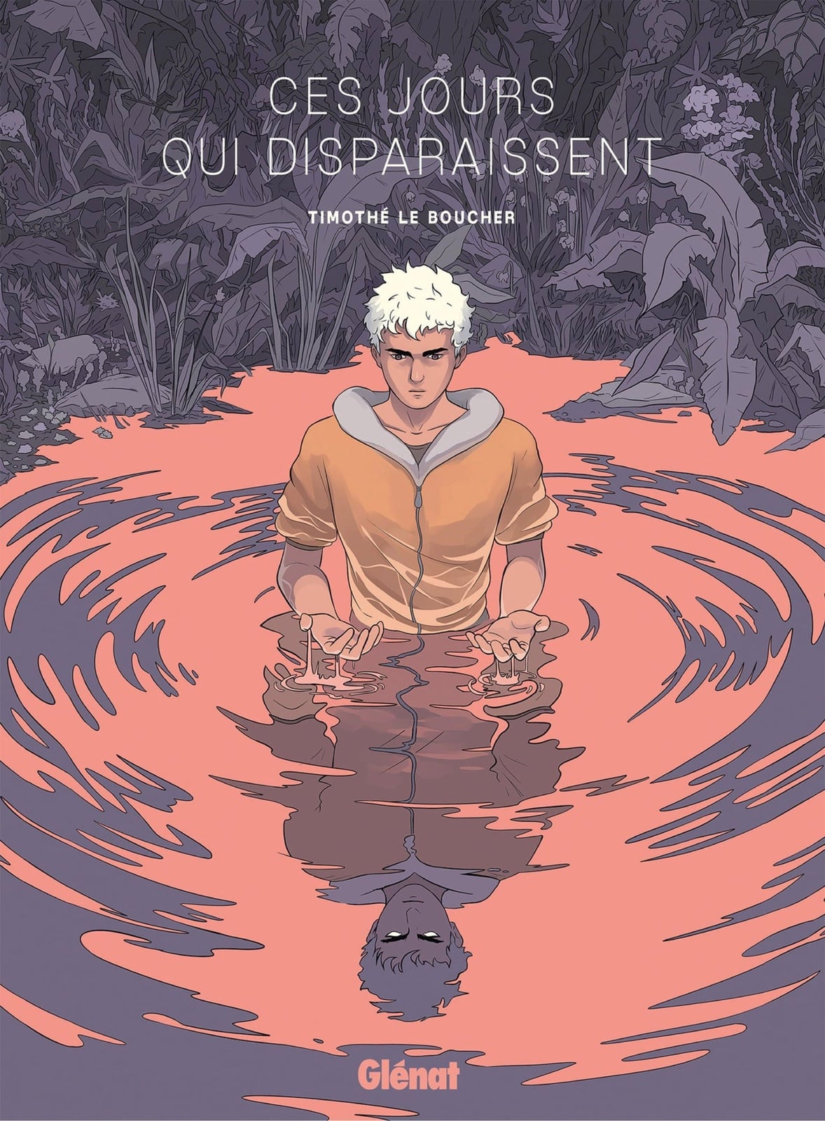 Ces jours qui disparaissent - Cover