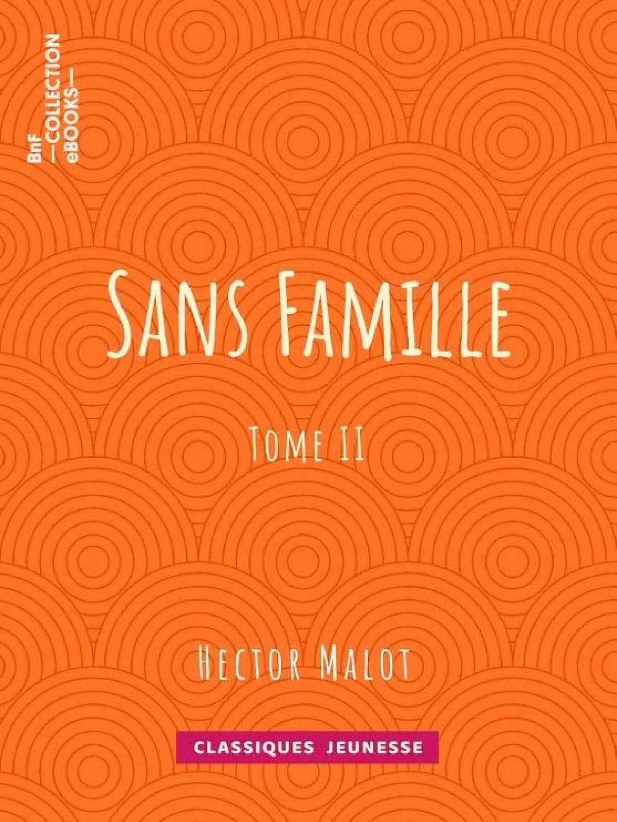 Sans famille - Cover