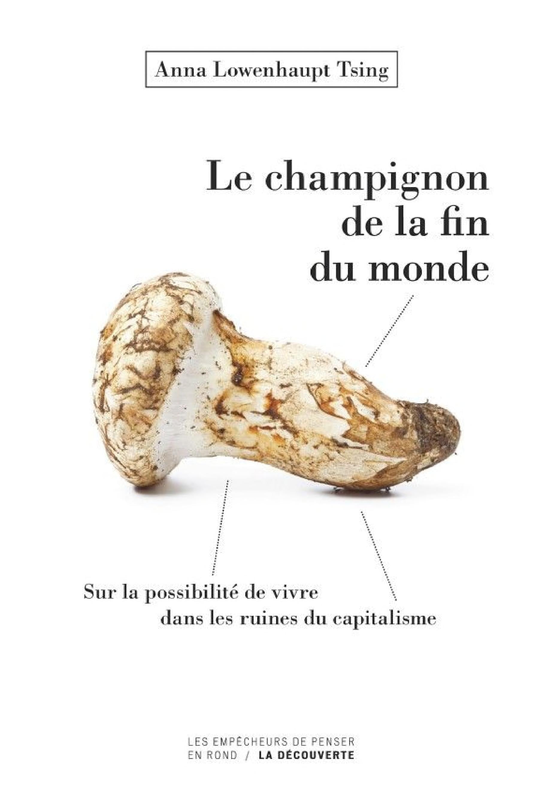 Le champignon de la fin du monde - Cover