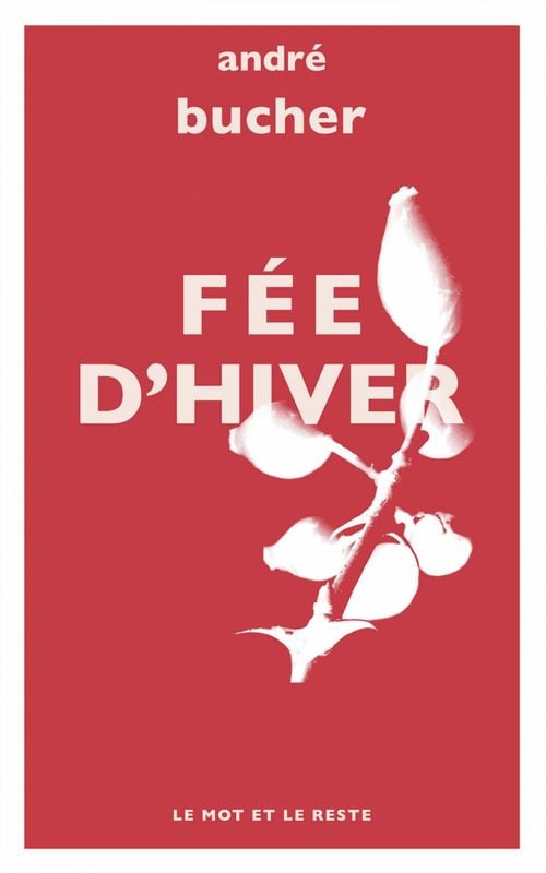 Fée d'hiver - Cover