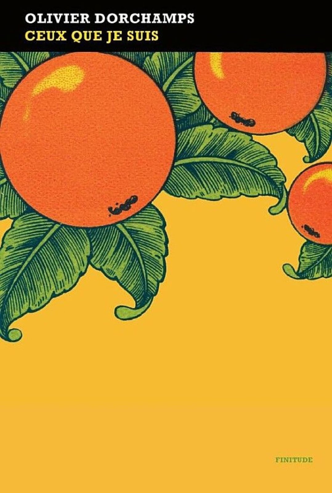 Ceux que je suis - Cover