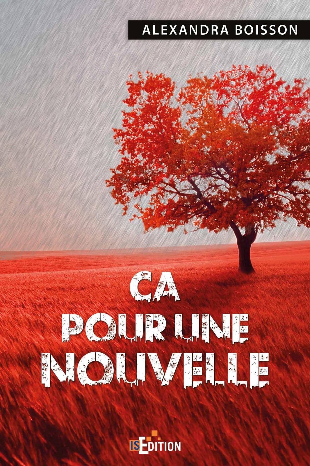 Ca pour une nouvelle - Cover