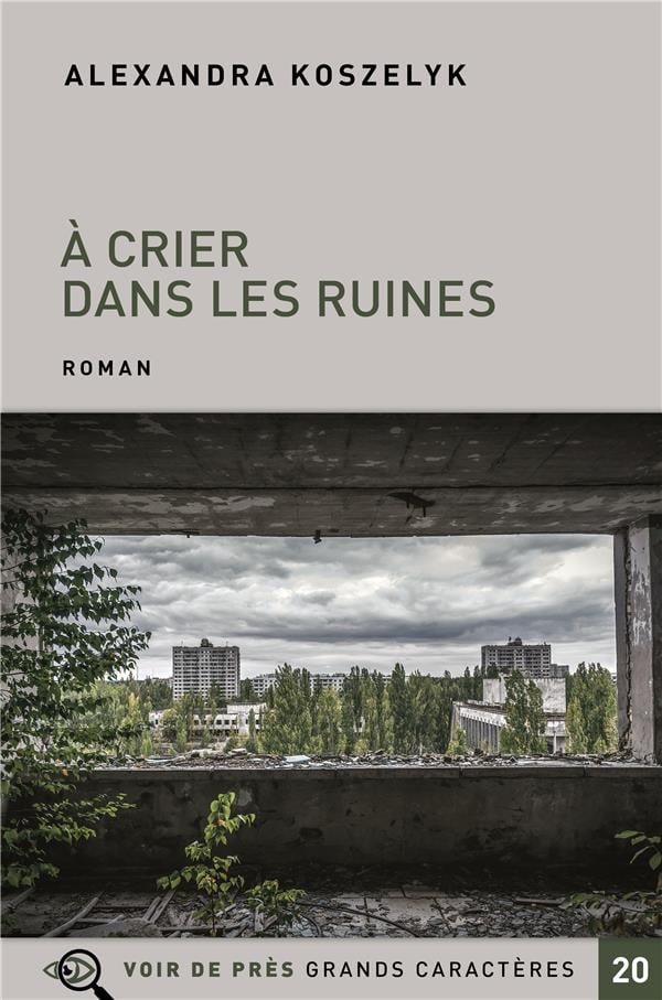 A crier dans les ruines - Cover