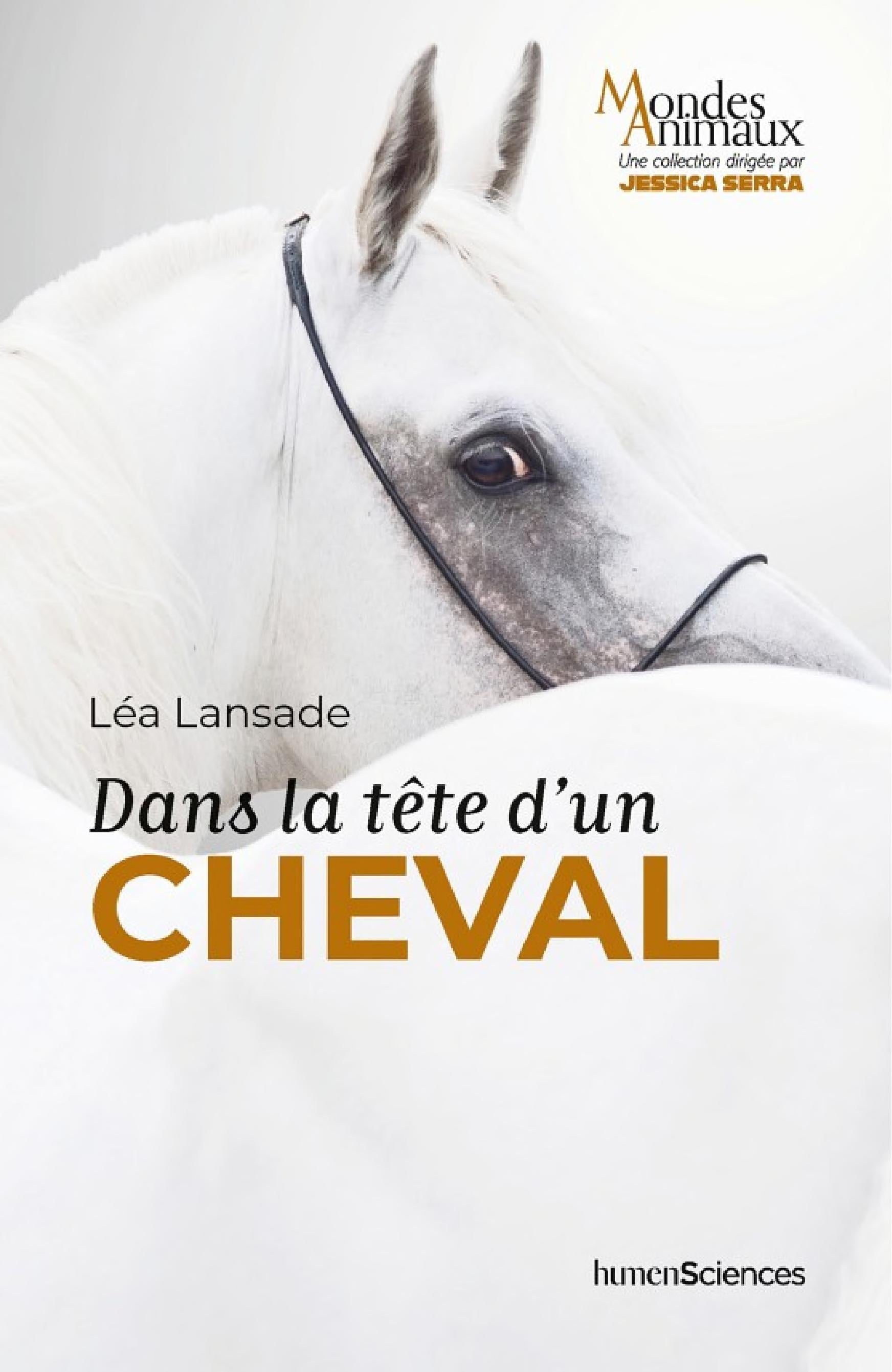 Dans la tête d'un cheval - Cover