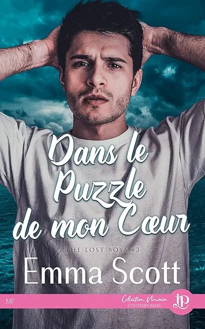 Dans le puzzle de mon coeur - Cover