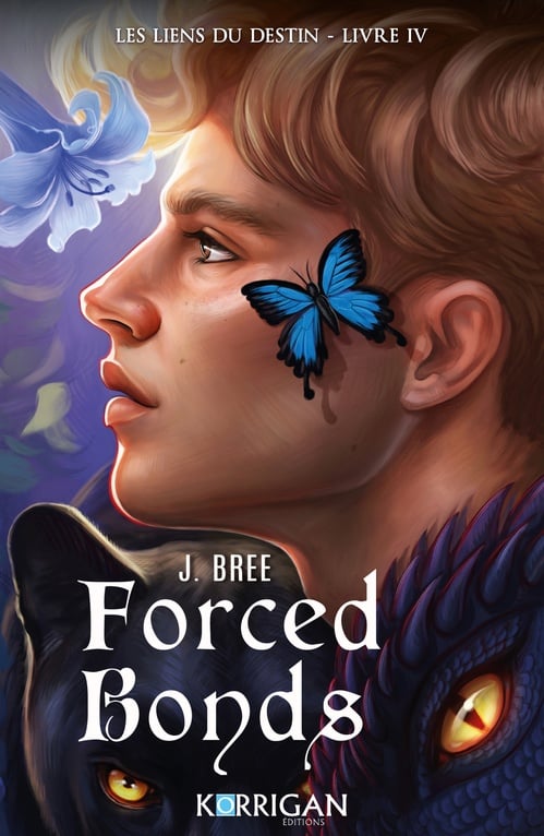 Les liens du destin T4 - Cover