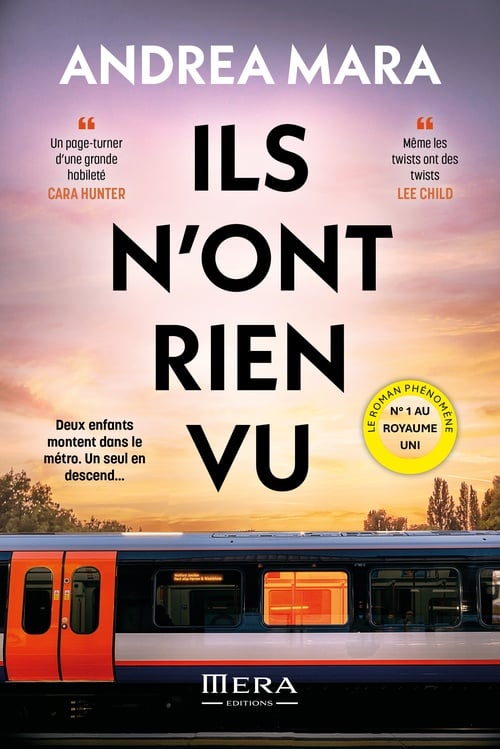 Ils n'ont rien vu - Cover